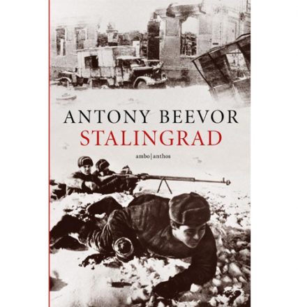 Stalingrad - Antony Beevor - Boek oorlog